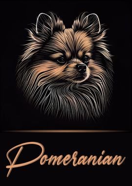 Pomeranian Portrait