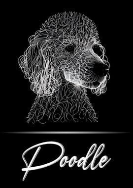 Poodle