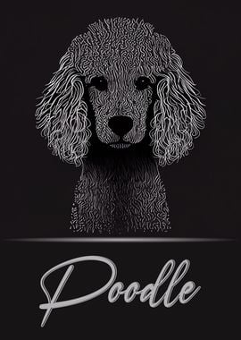 Elegant Poodle