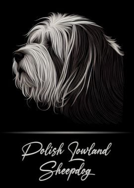 Polish Lowland Sheepdog