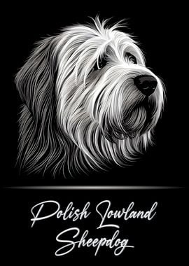 Polish Lowland Sheepdog