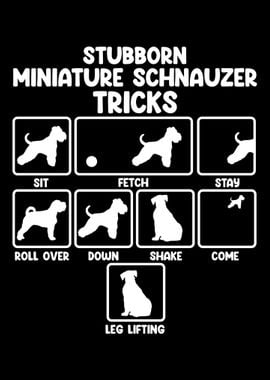 Miniature Schnauzer