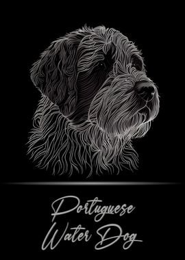 Portuguese Water Dog