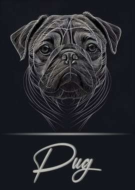 Elegant Pug