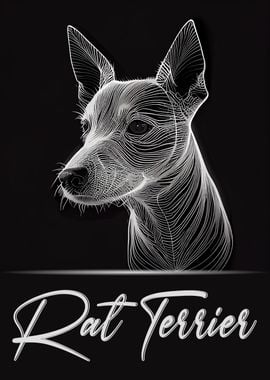 Elegant Rat Terrier