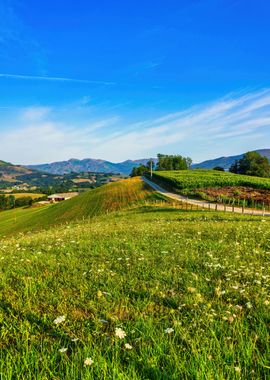 Landscape mountains green