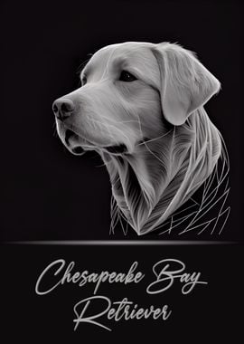 Chesapeake Bay Retriever