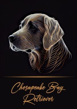 Chesapeake Bay Retriever