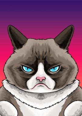 Grumpy Cat