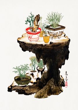 Vintage Japanese Bonsai