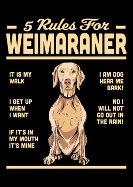 5 Rules For Weimaranere