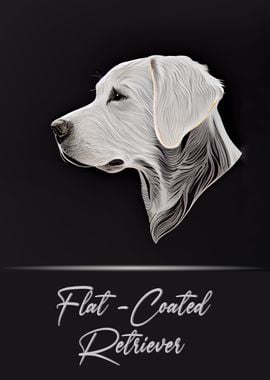 Flat Coated Retriever