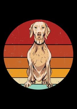 Retro Weimaraner