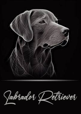 Elegant Labrador Retriever