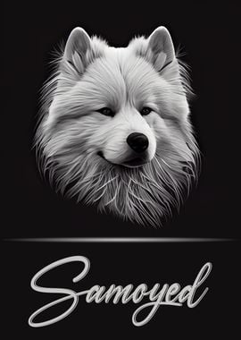 Samoyed