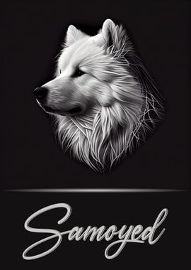 Samoyed Portrait