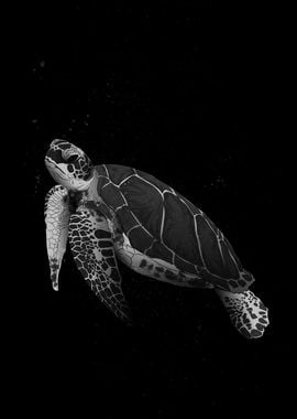 Artistry of the Sea Turtle