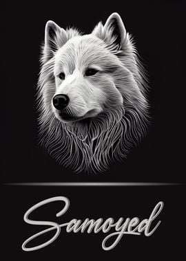 Elegant Samoyed