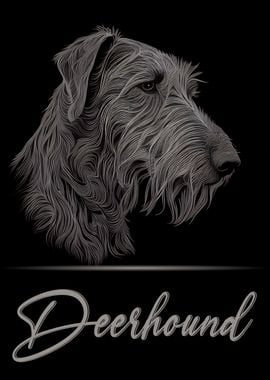 Scottish Deerhound