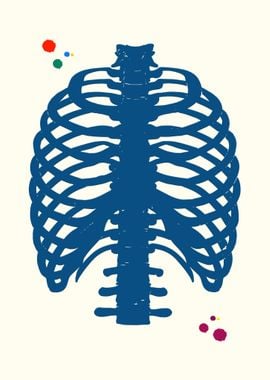 Rib cage