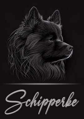 Schipperke Portrait