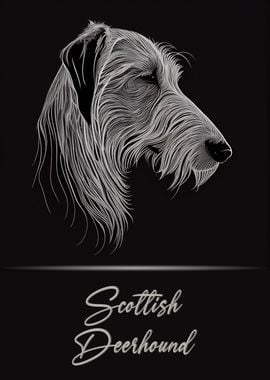 Scottish Deerhound