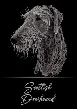 Scottish Deerhound