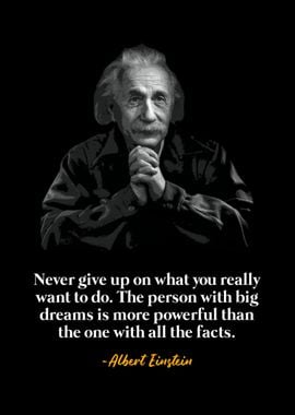 Albert Einstein Quote