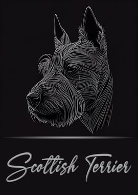 Elegant Scottish Terrier