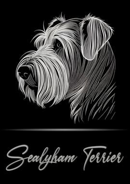 Elegant Sealyham Terrier