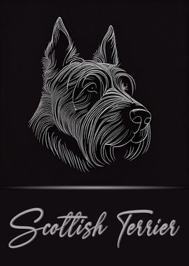 Adorable Scottish Terrier