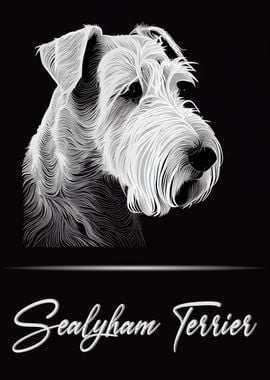 Sealyham Terrier