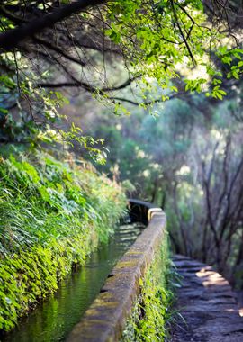 Madeira, Portugal island