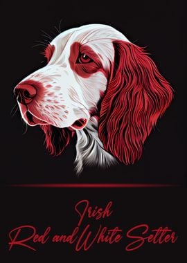 Irish Red and White Setter