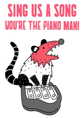 Funny Piano Opossum