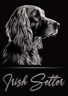 Elegant Irish Setter