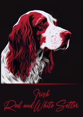 Irish Red and White Setter