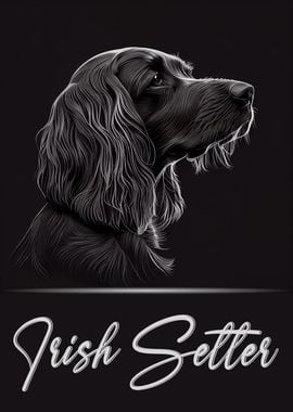 Elegant Irish Setter