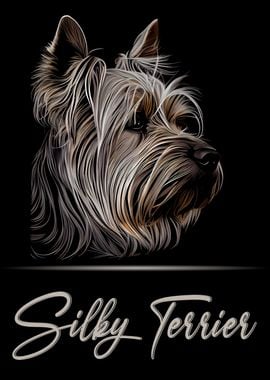 Silky Terrier