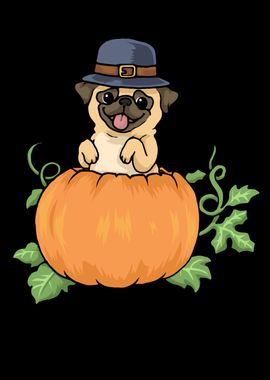 Thanksgiving Pumpkin Pug