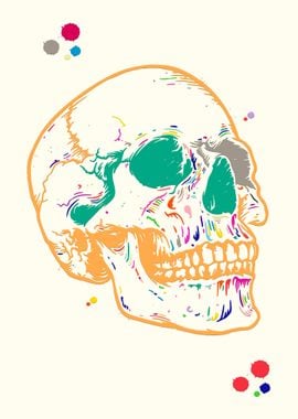 Human Skull