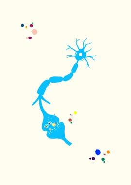 Neuron and Receptor