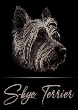 Elegant Skye Terrier