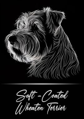 Soft Wheaten Terrier