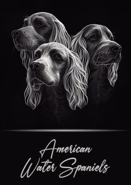 American Water Spaniels