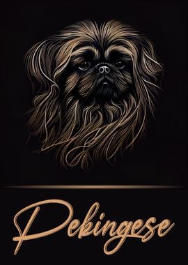 Elegant Pekingese