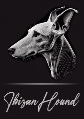 Elegant Ibizan Hound