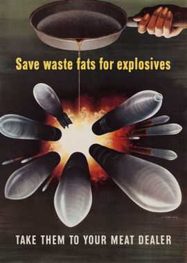 Save waste fats