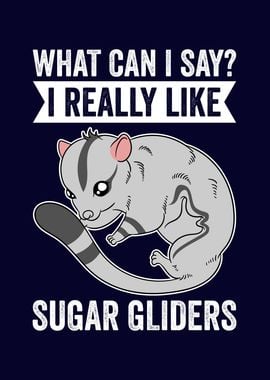 Funny Sugar Glider Owner