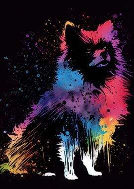 Pomeranian Colorful Zwergs